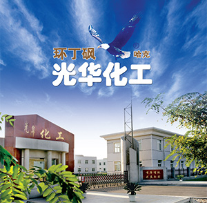 Sichuan Hengkang Science and Technology Development Co., Ltd.